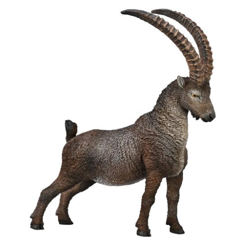 Figurine - CollectA Alpine Ibex