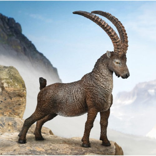 Figurine - CollectA Alpine Ibex
