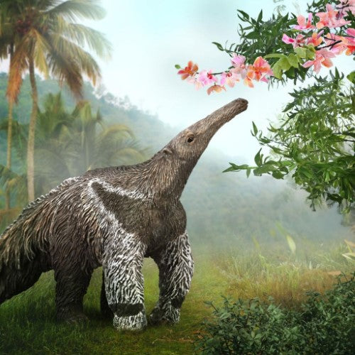 Figurine - CollectA Giant Anteater