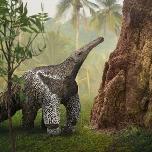 Figurine - CollectA Giant Anteater