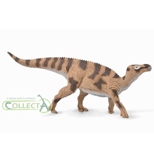 Figurine - CollectA Brighstoneus (Medium)