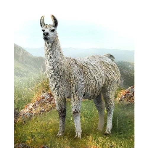 Figurine - CollectA Llama (Medium)
