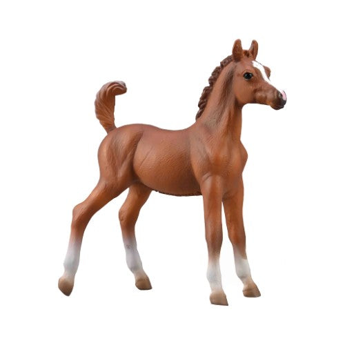 Figurine - CollectA Arabian Foal Chestnut (Medium)