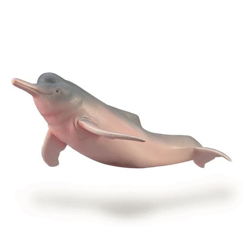 Figurine - CollectA Amazon River Dolphin (Medium)