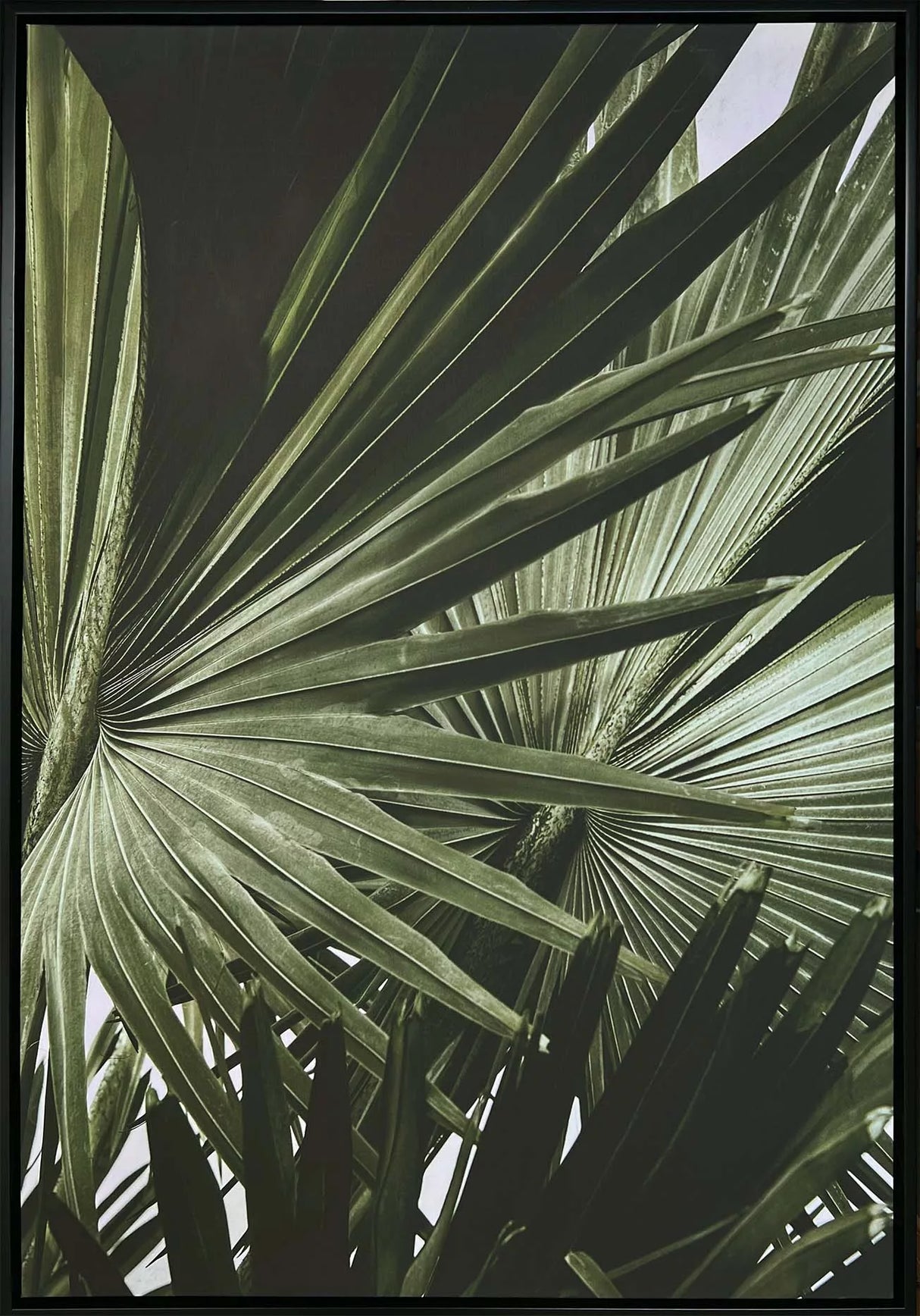Canvas Wall Art - GREEN PALMS