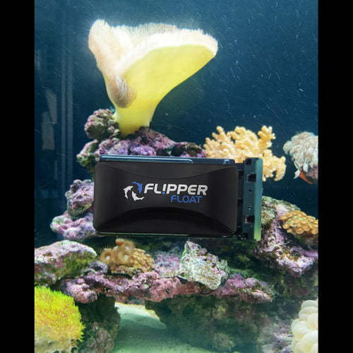 Aquatic Magnet Cleaner Flipper Float Standard Cleaner