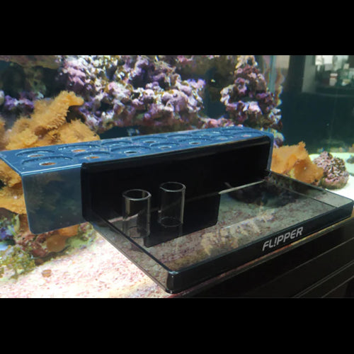 Aquatic Cleaning Tool  Flipper Frag Station - Blue