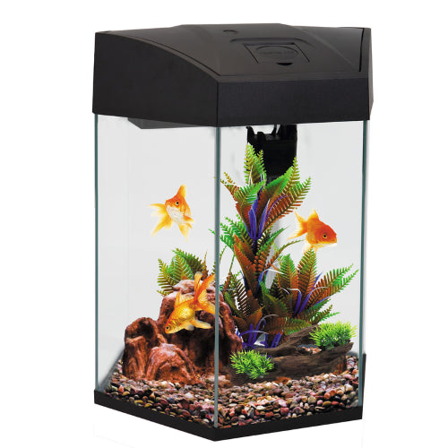 Aquatic Aquarium AA RGB Hex Aquarium 20L - Black