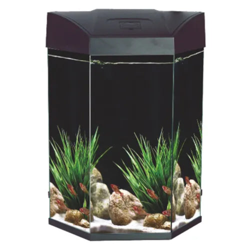 Aquatic Aquarium AA Basic Hex Aquarium 70L - Black