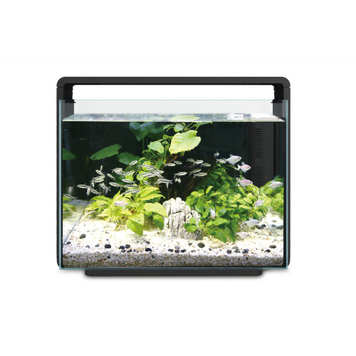 Aquatic Aquarium Hailea Aquarium 80L - Black