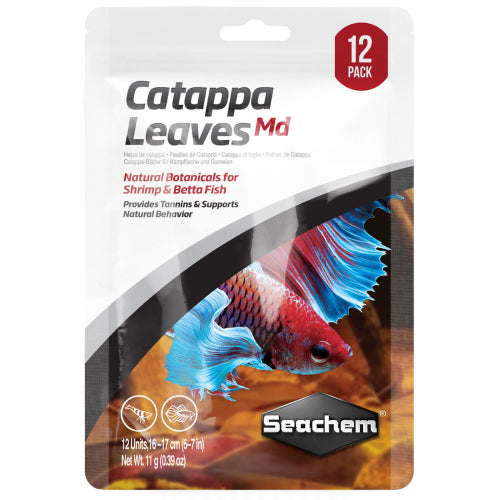 Aquatic Conditioner Catappa Leaves - Medium