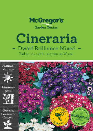 McGregor's Cineraria Dwarf Mixed Flower Seed Packet
