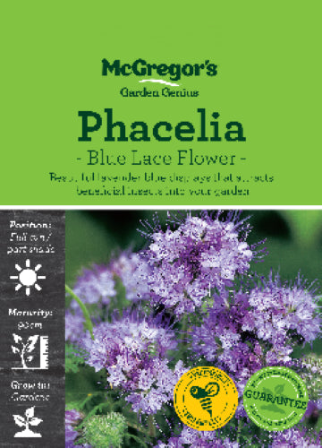 McGregor's Phacelia Blue Lace Flower Packet