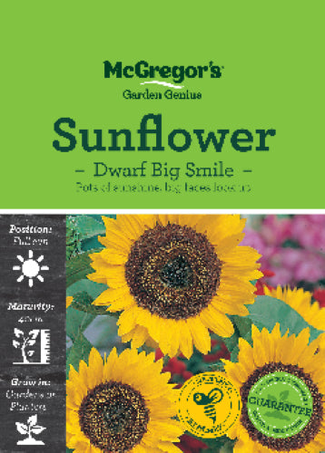 McGregor's Sunflower Big Smile Seed Packet
