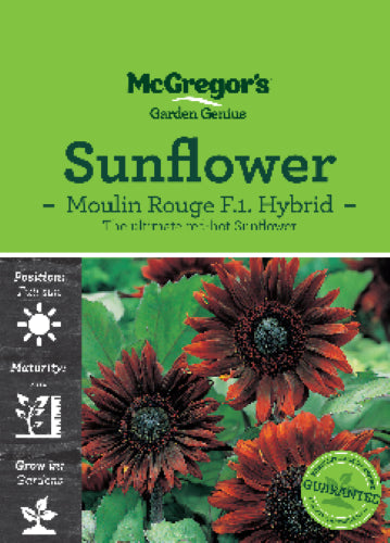 McGregor's Sunflower Moulin Rouge Flower Seed Packet