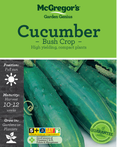 McGregor's Cucumber Bush Crop Vegetable Seed Packet