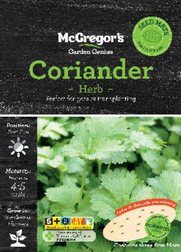 McGregor's Coriander 8cm Cilantro Packet