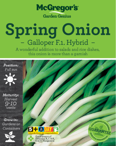 McGregor's Spring Onion Galloper F1 Hybrid Vegetable Seed Packet