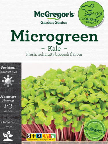 McGregor’s Microgreen Kale