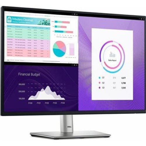 DELL MONITOR P2425