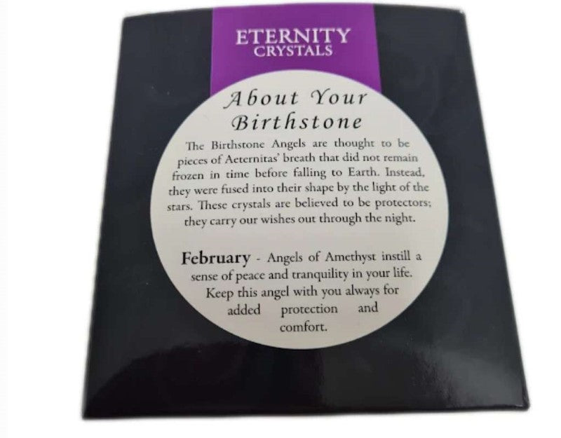 Birthstone Suncatcher - Eternity Crystals Feb 10.2 x 7 x 1.6cm (Set of 2)