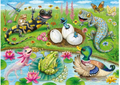 Ravensburger - Hello Hatchlings 60p