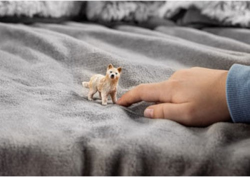 Schleich - Arctic Wolf Cub 2025 Release