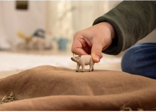 Schleich - Mangalica Piglet