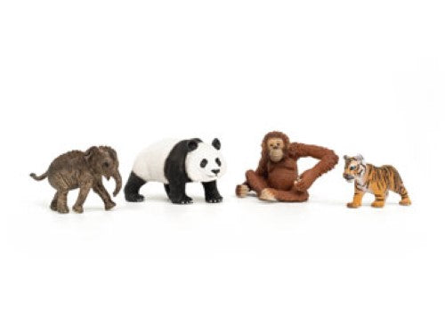 Schleich - Wild Life Asia Starter Set