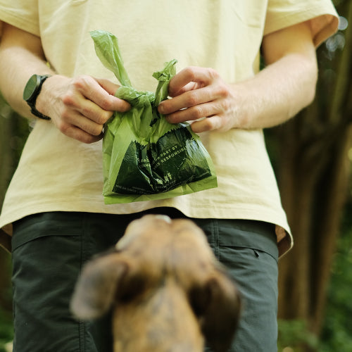 Dog Bags & Clean Up Beco Poop Bags with Handle Mint - 270pk