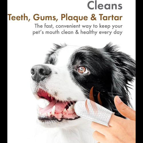 Dog Health Pet Wipes Petkin Fingertip Tooth Wipes Peanut Butter 50pk
