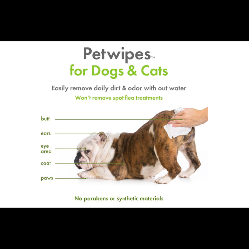Dog Health Pet Wipes Petkin Plant BasEzydog Wipes 200pk