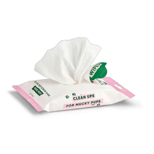 Dog Health Pet Wipes Beco Travel Wipes Coconut ScentEzydog 20pk