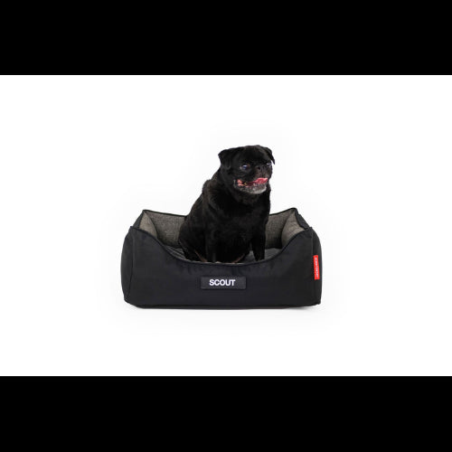 Dog Bed Ezydog 2in1 Ortho Smart BEzydog Charcoal/Black - Small