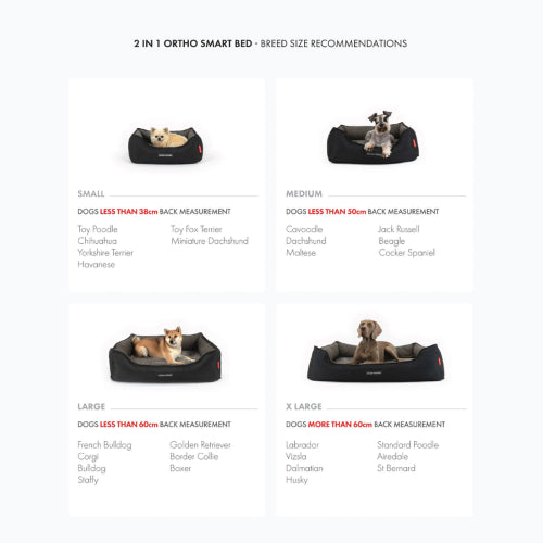 Dog Bed Ezydog 2in1 Ortho Smart BEzydog Charcoal/Black - Small