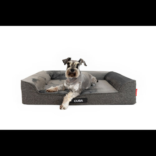 Dog Bed Ezydog Next-Gen Ortho Lounger Charcoal - Large