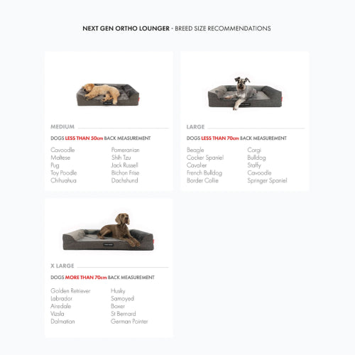 Dog Bed Ezydog Next-Gen Ortho Lounger Charcoal - Large