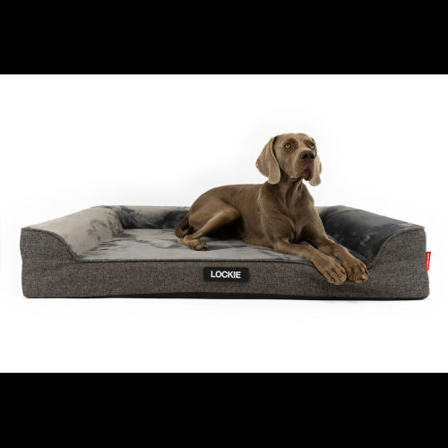 Dog Bed Ezydog Next-Gen Ortho Lounger Charcoal - XL