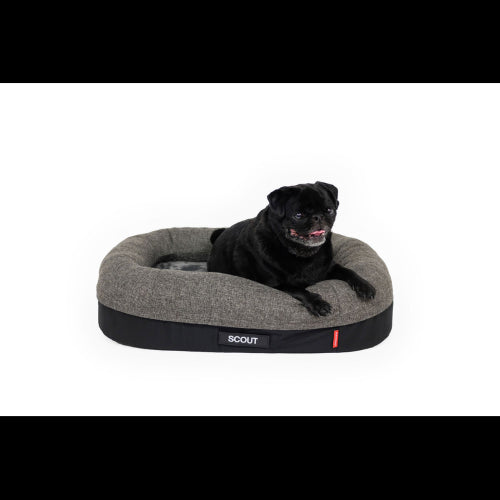 Dog Bed Ezydog 2in1 Ortho Calm Elite BEzydog Charcoal/Black - Medium