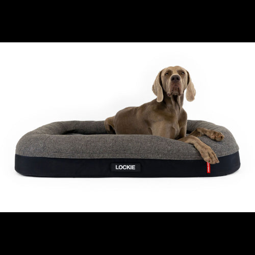 Dog Bed Ezydog 2in1 Ortho Calm Elite BEzydog Charcoal/Black - XL