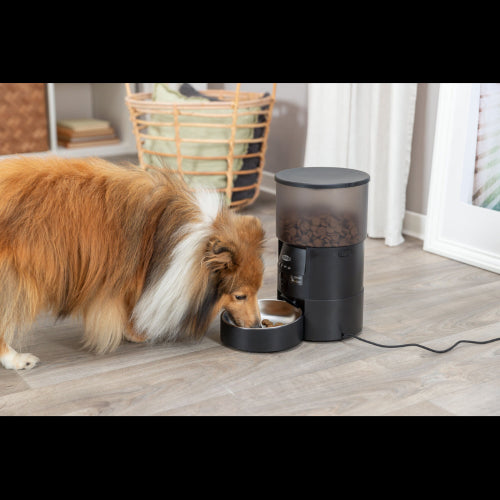 Cat Feeder Automatic Automatic Feeder TX-C Smart 3L