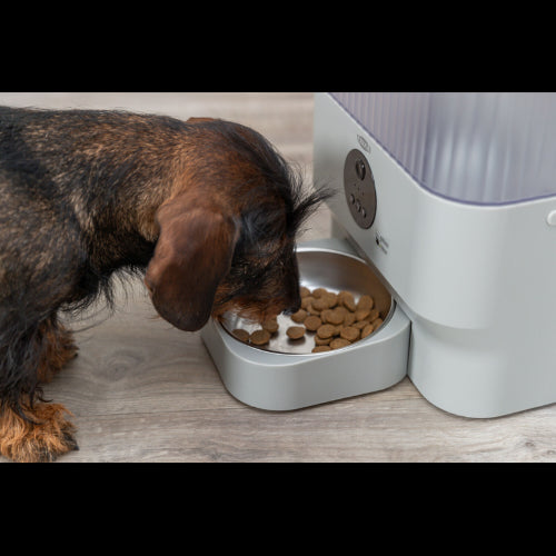 Cat Feeder Automatic Automatic Feeder TX-C Smart 5L