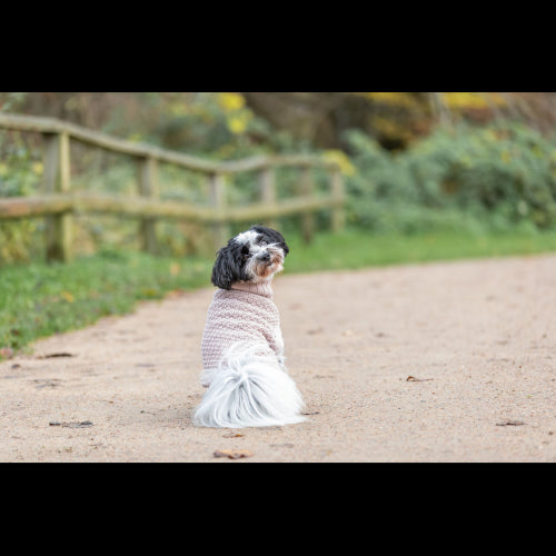 Dog Clothing Norwood Pullover S: 36cm Blush