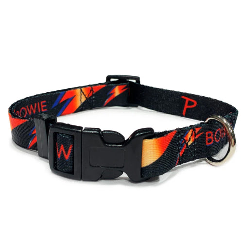 Dog Bowie Lightning Bolt Collar - Sml 25-40cm