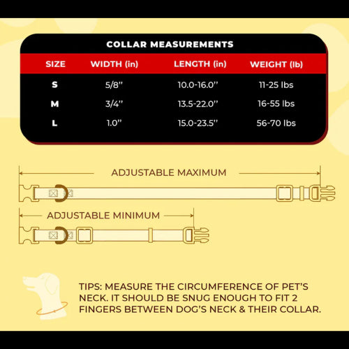 Dog Bowie Lightning Bolt Collar - Sml 25-40cm