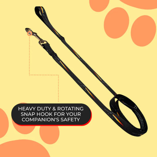 Dog Pink Floyd Prism Lead 183cm