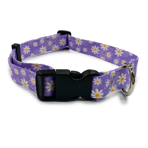 Dog Daisy Purple Collar - Lge 38-60cm