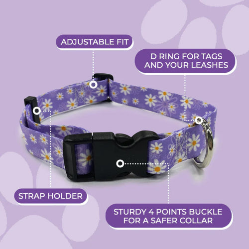Dog Daisy Purple Collar - Lge 38-60cm