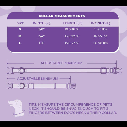 Dog Daisy Purple Collar - Lge 38-60cm