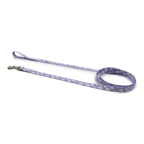 Dog Daisy Purple Lead 183cm